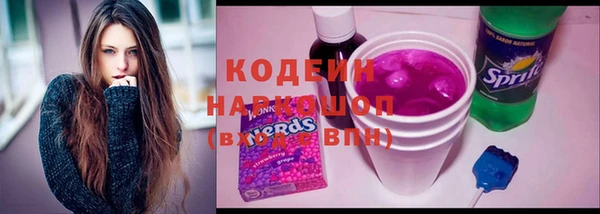 гашик Дмитров