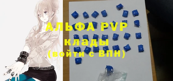 гашик Дмитров