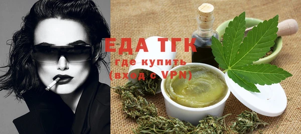 гашик Дмитров