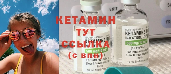 гашик Дмитров