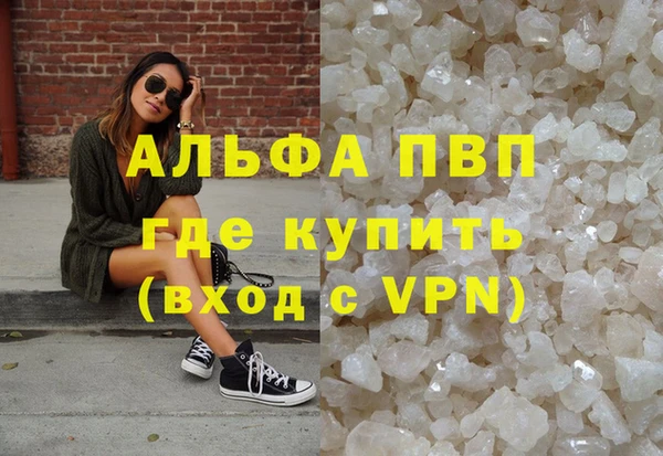 гашик Дмитров