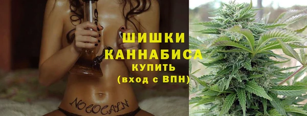 гашик Дмитров