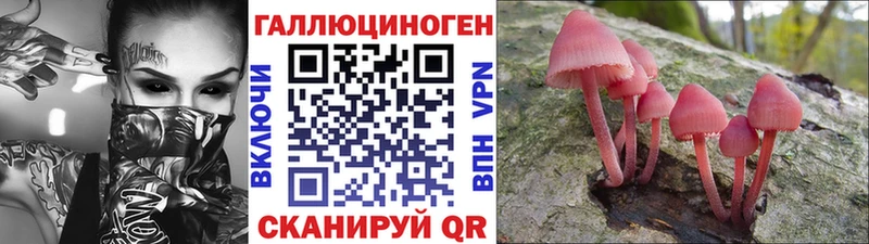 Галлюциногенные грибы MAGIC MUSHROOMS  Петухово 